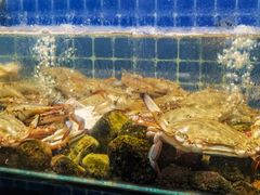 -健眺小海鲜(临海后山店)