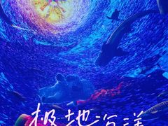 -海合安天津极地海洋公园