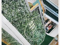 -Mr.Fruits水果先生(朝阳门悠唐店)