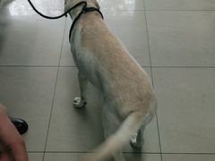 -申普宠物医院·眼科·心内科·影像科(普陀分院)