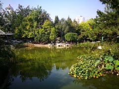 -宣武艺园