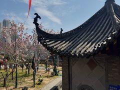 -长春观