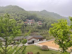 -宁海安岚·南溪阁全日餐厅