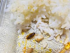 -鼎盛蜀坊·重庆江湖菜(市桥地铁站店)