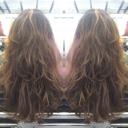 -SALON V