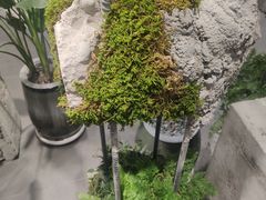 -伊势丹(现代城店)
