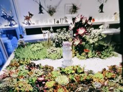 -春树下·树屋花房西餐厅(罍街AS1980店)