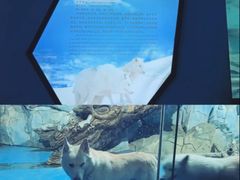 -泉城欧乐堡海洋极地世界