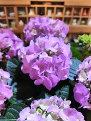 -今日陶艺(富力广场店)