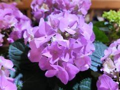 -今日陶艺(富力广场店)