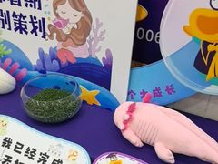 -瑞思英语·少儿英语启蒙(河西·梅江第六田园校区)