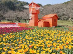 -苏州上方山国家森林公园