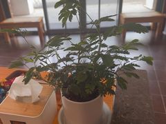 -鸥迪足道(湖南示范店)