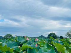 -良渚古城遗址公园