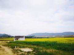 -光明小镇欢乐田园