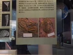 -辽宁古生物博物馆