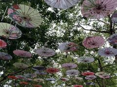 -观澜湖生态运动公社