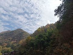 -祁门牯牛降观音堂风景区
