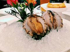六头鲍鱼-红雀围·海鲜火锅(陆家嘴中心店)
