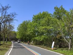 -同里国家湿地公园