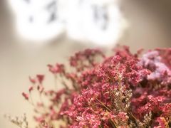 -注春·荞麦奶茶(新天地旗舰店)