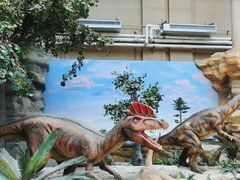 -国家自然博物馆