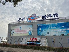 -苏州海洋馆