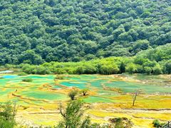 -黄龙山原始森林景区