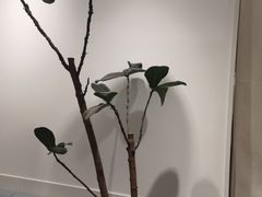 -天真蓝照相馆(杭州滨江宝龙店)