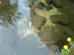 -泉乐坊步行街(烟酒特产平价超市店)