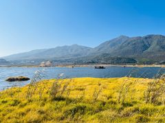 -腾冲北海湿地