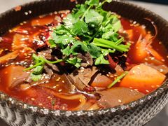 -雀蓝川菜(奥体广场店)