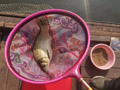 -酷鱼垂钓CLUB(朝阳区博大路店 )