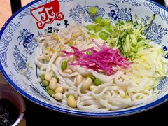 -大海碗·炸酱面·烤鸭·京菜(天坛店)