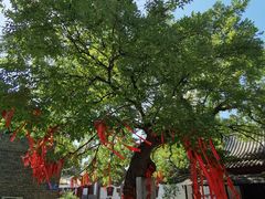 -杨家埠民间艺术大观园