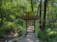 -大岭沟猕猴桃谷风景区