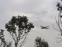 -空港花田景区