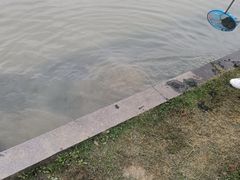 -滆湖低碳生态公园