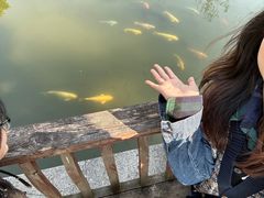 -广州神农草堂中医药博物馆