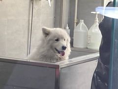 -宠福鑫康馨动物医院·骨科·眼科