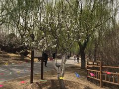 -燕郊植物园