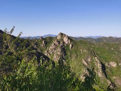 -大岭沟猕猴桃谷风景区