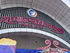 -灵玲国际马戏城