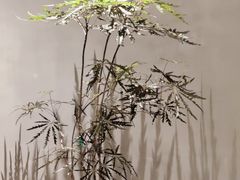 -二酉书店TOYOU BOOKS