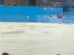 -西安华夏文旅水世界