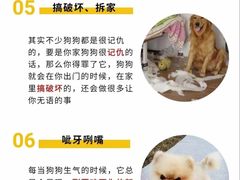 -喜多萌中农锦绣动物医院24H·猫科·牙科MRI·CT