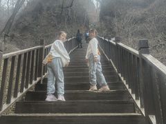 -天女山森林公园
