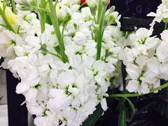 -Butchart布查德鲜花(花艺设计中心)