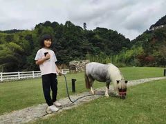 -宁海安岚·南溪阁全日餐厅