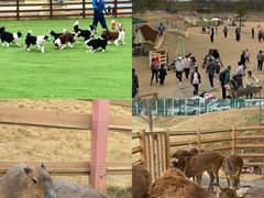 -盈香心动乐园